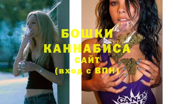 индика Верхний Тагил