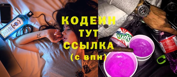индика Верхний Тагил