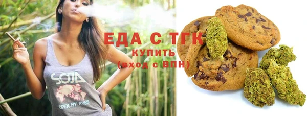 индика Верхний Тагил
