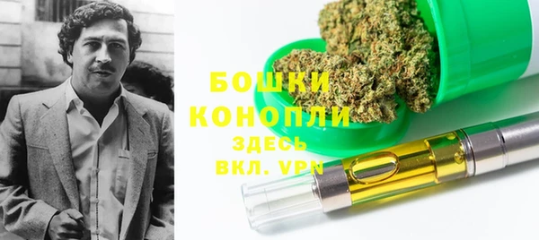 индика Верхний Тагил