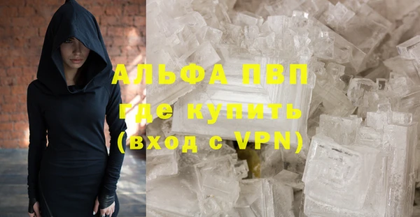 индика Верхний Тагил