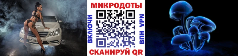 Псилоцибиновые грибы Cubensis  где купить наркоту  Ахтырский 
